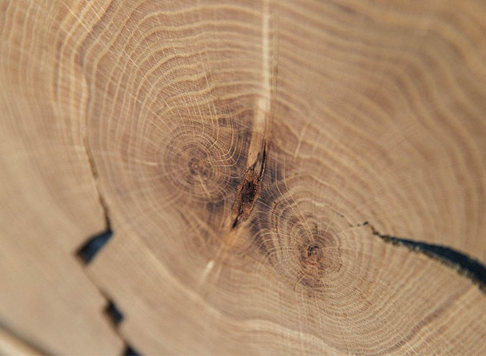 Beleuchtete Standvitrine aus massiver Eiche mit Hirnholz | Vitrine Tirano III mit Rückwand in grober Holzstruktur -